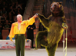 В Челябинском цирке с 30 января по 28 февраля классика российского цирка «Наш добрый цирк».